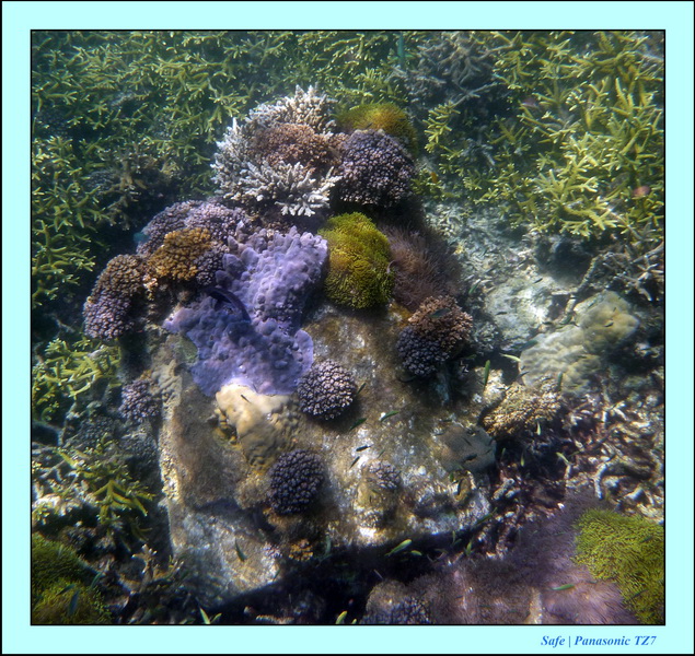 2009   07   Perhentians 023